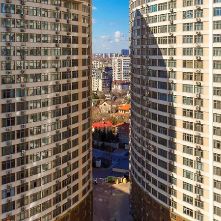 Lux аркадия, каманина, 44 жемчужина Odessza